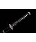 NAMI KATANA LIMITED EDITION | Ed. 18 Ans