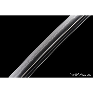 NAMI KATANA LIMITED EDITION | Ed. 18 Ans