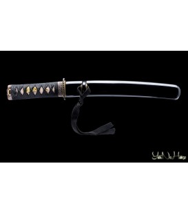 Kunishi Tanto 2