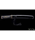 Kunishi Tanto