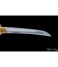 Kunishi Tanto