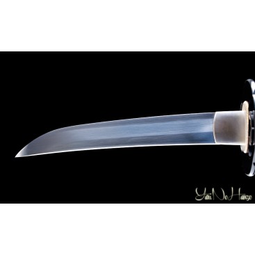 Shinobi Kodachi | Sabre Japonais | Iaito Katana Artisanal