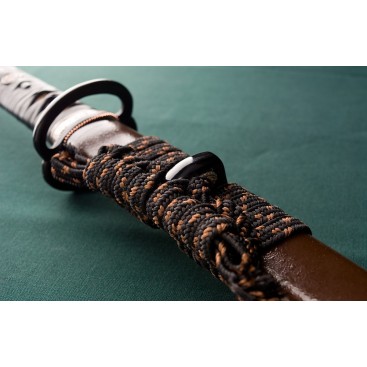MUSASHI KUMAMOTO AIGUISÉ