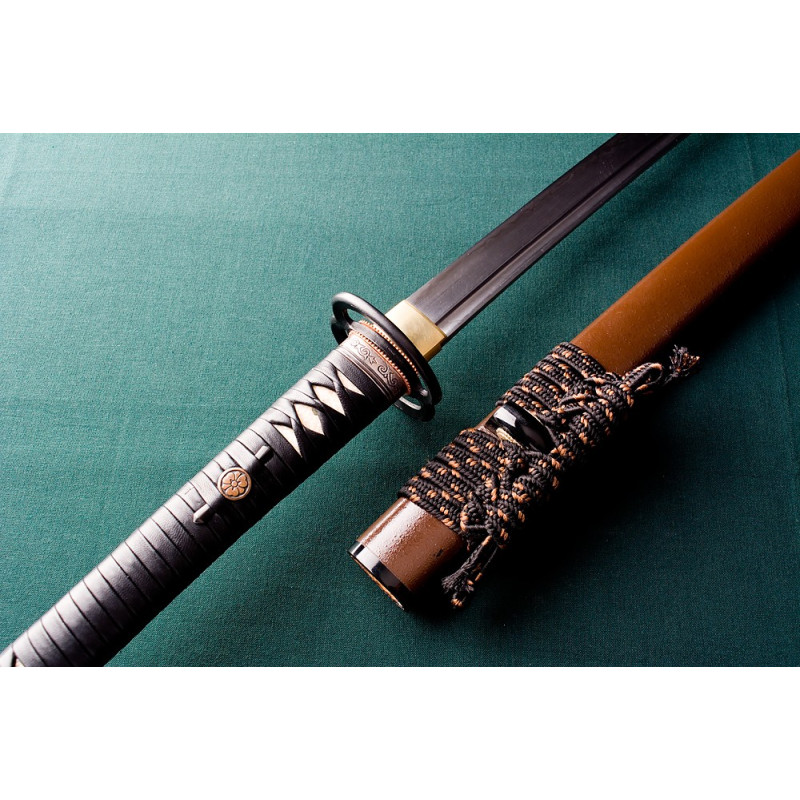 MUSASHI KUMAMOTO AIGUISÉ