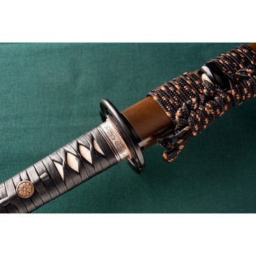 MUSASHI KUMAMOTO AIGUISÉ