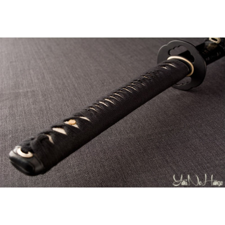 IAIDO SET MASTER