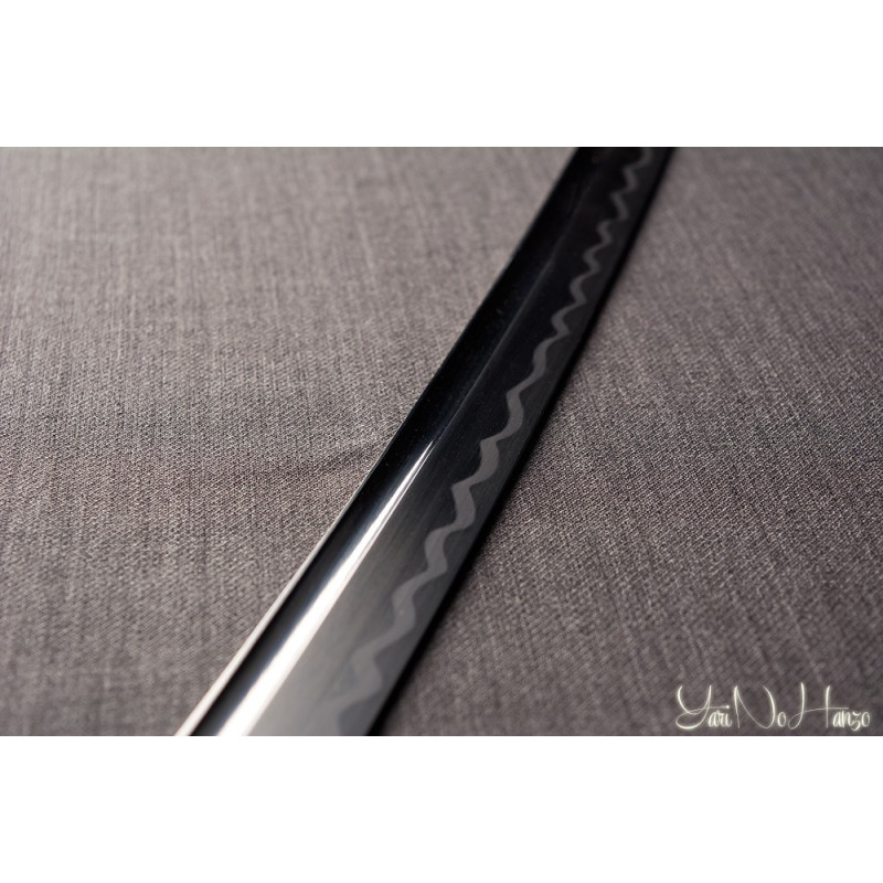 IAIDO SET MASTER