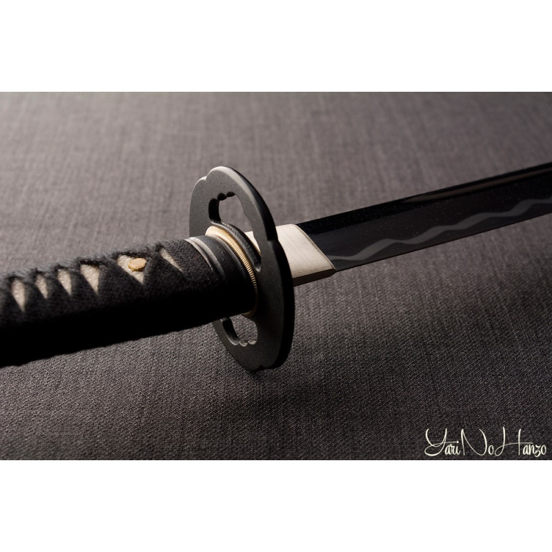 IAIDO SET MASTER