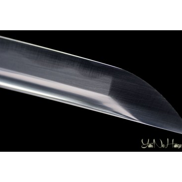Miyoshi Iaito Generation 2