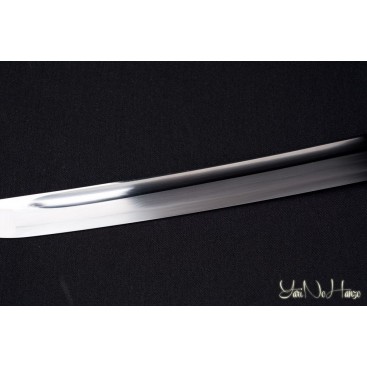 PRACTICAL KATANA LIMITED EDITION