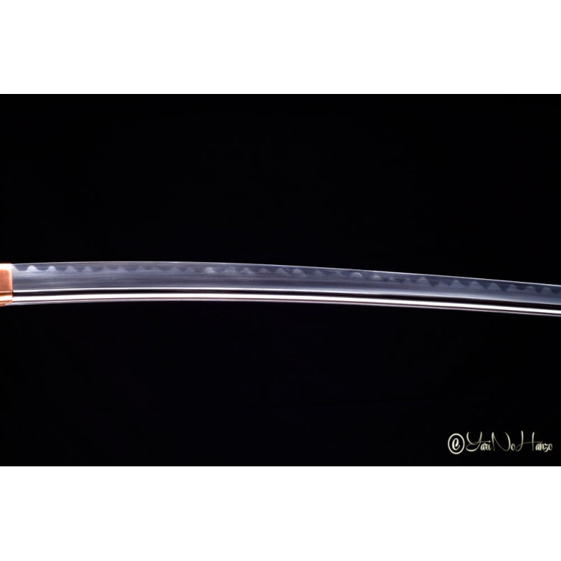 NOBUNAGA DAISHO | KATANA ET WAKIZASHI