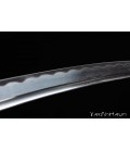Fukushima Wakizashi Iaito | Sabre Samurai | Artisanal
