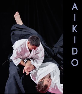 Keikogi Aikido