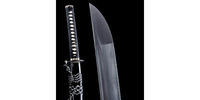 Iaitos IAIDO