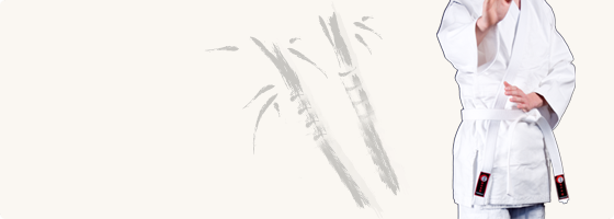 Keikogi